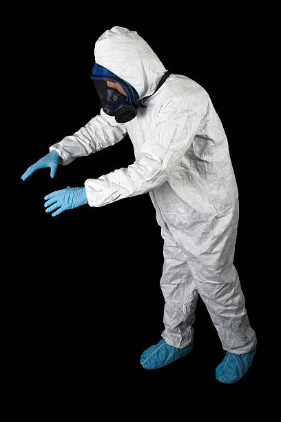  Maunawili, HI Mold Removal Pros