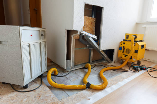 Forensic Mold Investigation in Maunawili, HI