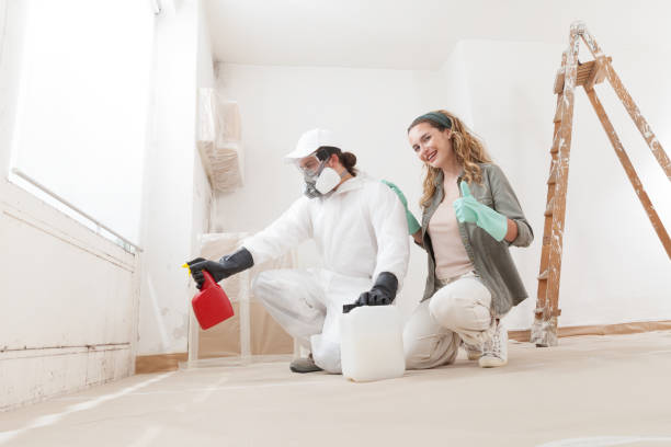 Best Mold-Related Health Consultation  in Maunawili, HI